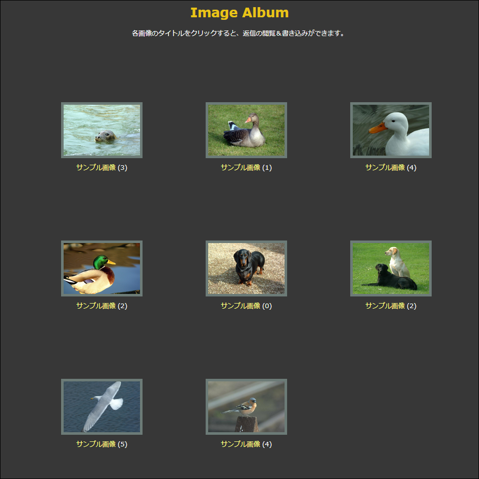 Image Album