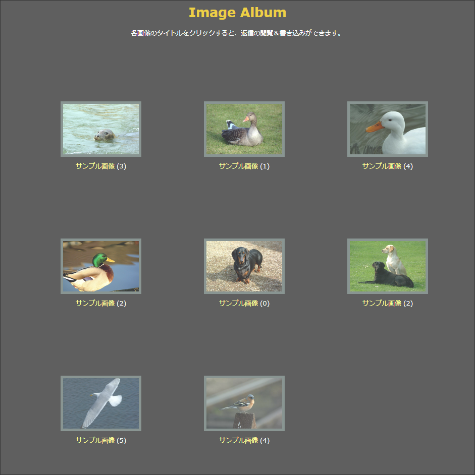 Image Album